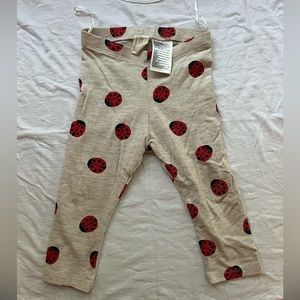 Cute ladybug pants from H&M size 9-12 months